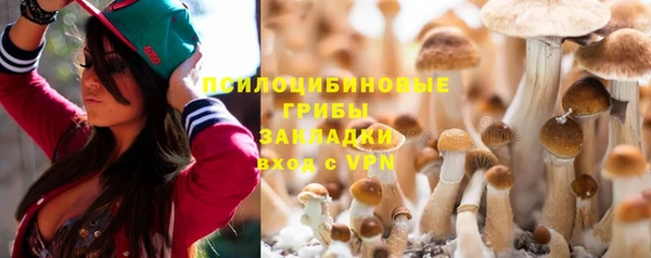 винт Краснослободск
