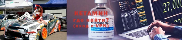 прущие грибы Болотное