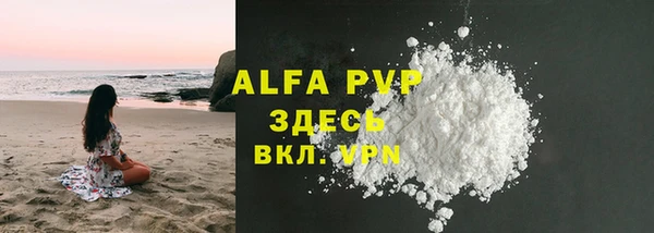 ПСИЛОЦИБИНОВЫЕ ГРИБЫ Корсаков