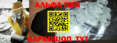 индика Кингисепп
