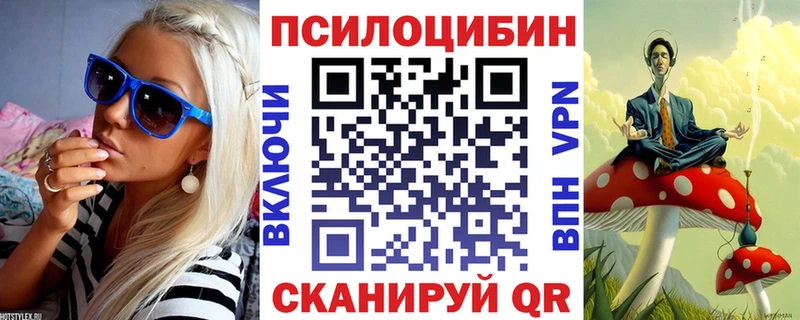 наркота  Лангепас  Псилоцибиновые грибы Psilocybine cubensis 