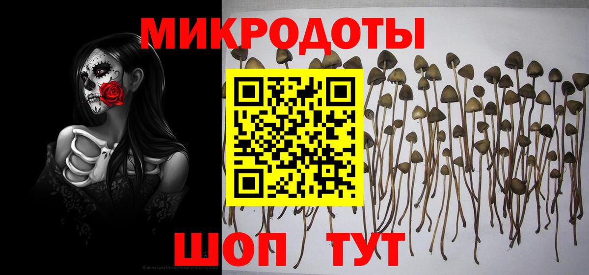 Лангепас  Псилоцибиновые грибы GOLDEN TEACHER  Галлюциногенные грибы мицелий  Вход с VPN 